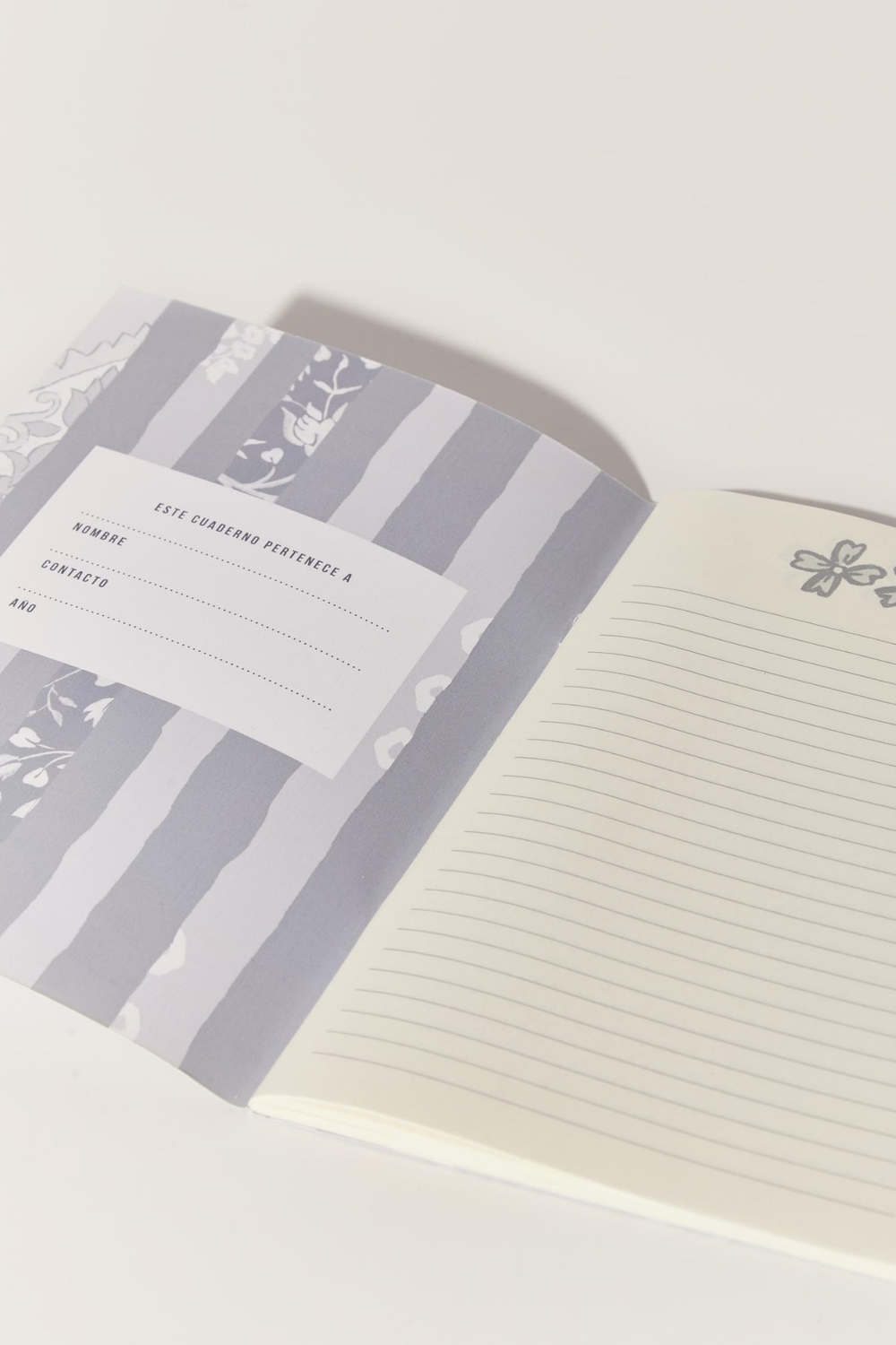 Cuaderno Alamo Kalya Set X2