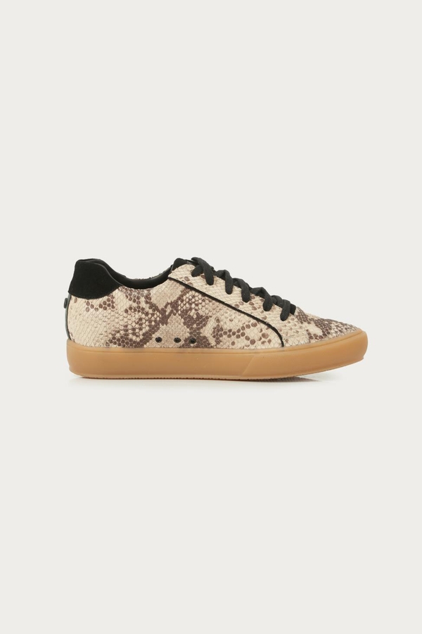 zapatilla gypsy reptil